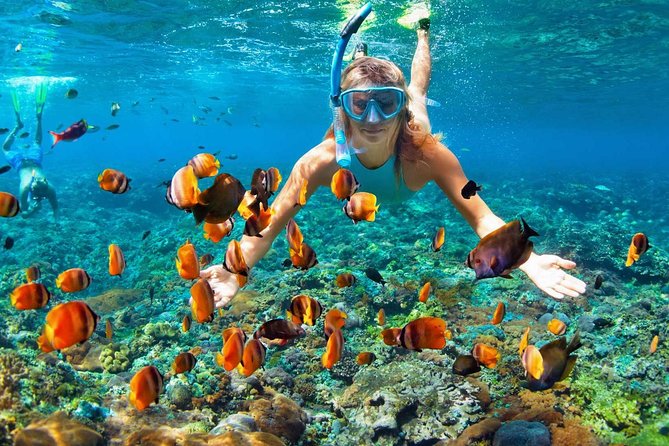 Snorkeling in Bohol