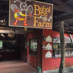 Bohol Bee Farm in Panglao Island Tour