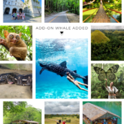 Bohol Countryside Tour with Whale Watching Add on