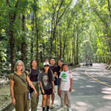 Manmade Forest in Bohol