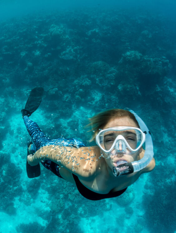 Snorkeling Island Hopping in Panglao