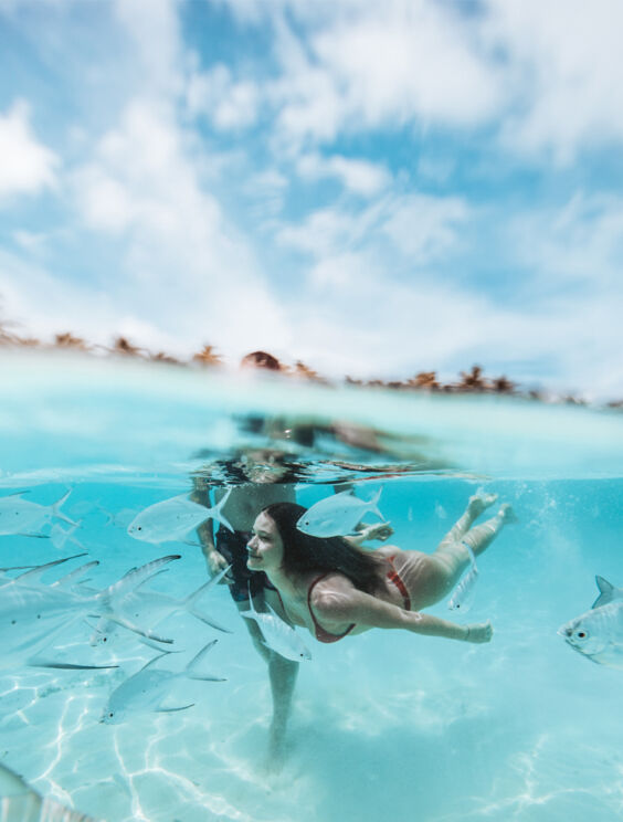 Swimming with Fish In Bohol